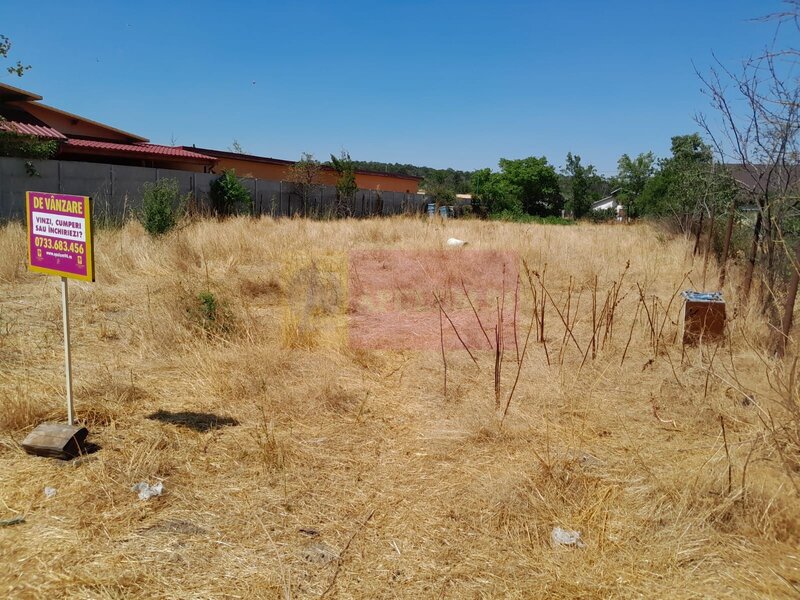 VANZARE TEREN 1800 MP IN SAT TEISORI (GR)